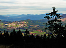 Burgberg mit Hohenbogen