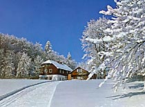 Diensthütte am Hohenbogen