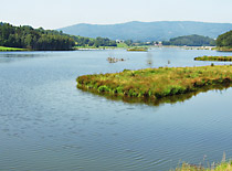 Drachensee Inseln