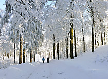 Winterwanderung zum Burgstall